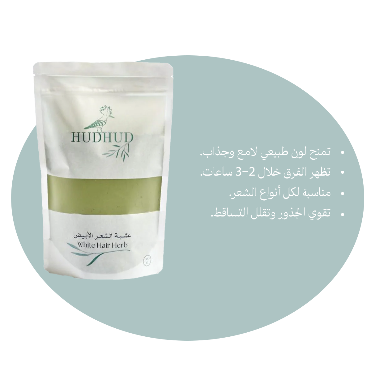 عـشـبـة الـشـيـب 